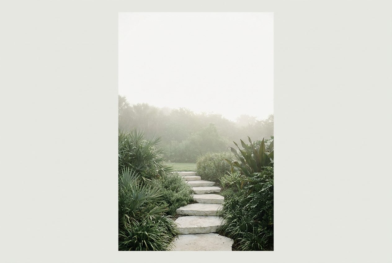 A quiet stone path through green foliage